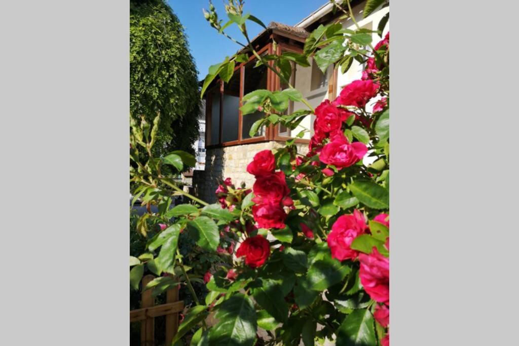La Roseliere Maison Plain Pied Confortable Belle Decoration Jardin Magnifique 10 Mn A Pied Centre Ville Bayeux Proche Plages Du Debarquement 外观 照片