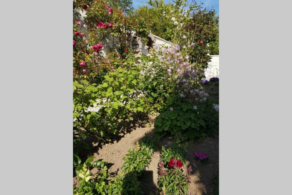 La Roseliere Maison Plain Pied Confortable Belle Decoration Jardin Magnifique 10 Mn A Pied Centre Ville Bayeux Proche Plages Du Debarquement 外观 照片