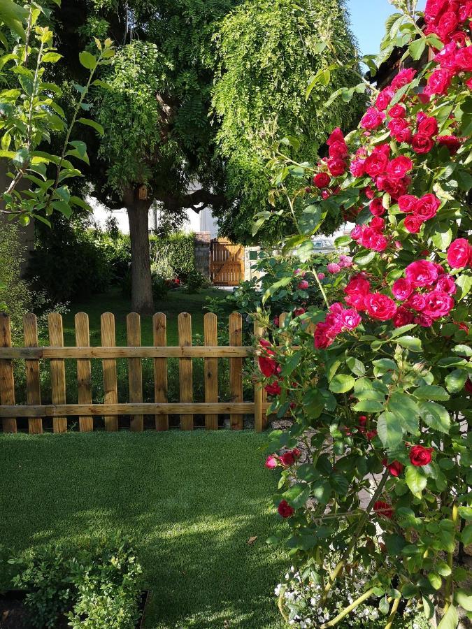 La Roseliere Maison Plain Pied Confortable Belle Decoration Jardin Magnifique 10 Mn A Pied Centre Ville Bayeux Proche Plages Du Debarquement 外观 照片